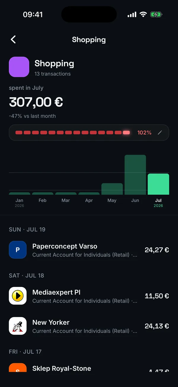 Brixa category page with a monthly budget pace bar